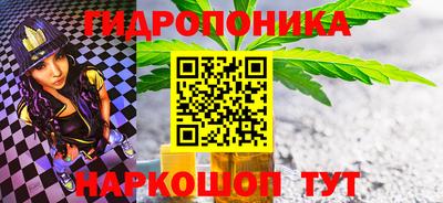 дурь Кимры