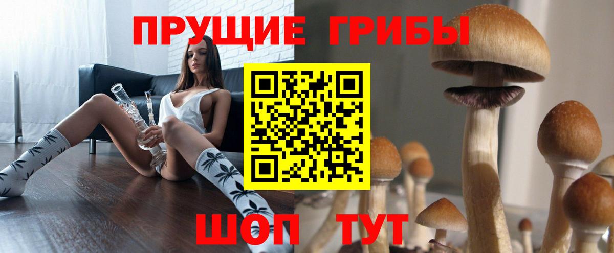 где купить наркотик  Псилоцибиновые грибы MAGIC MUSHROOMS  Галлюциногенные грибы мицелий  Вход с VPN  Дятьково 